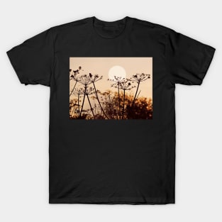 Dancing Silhouettes T-Shirt